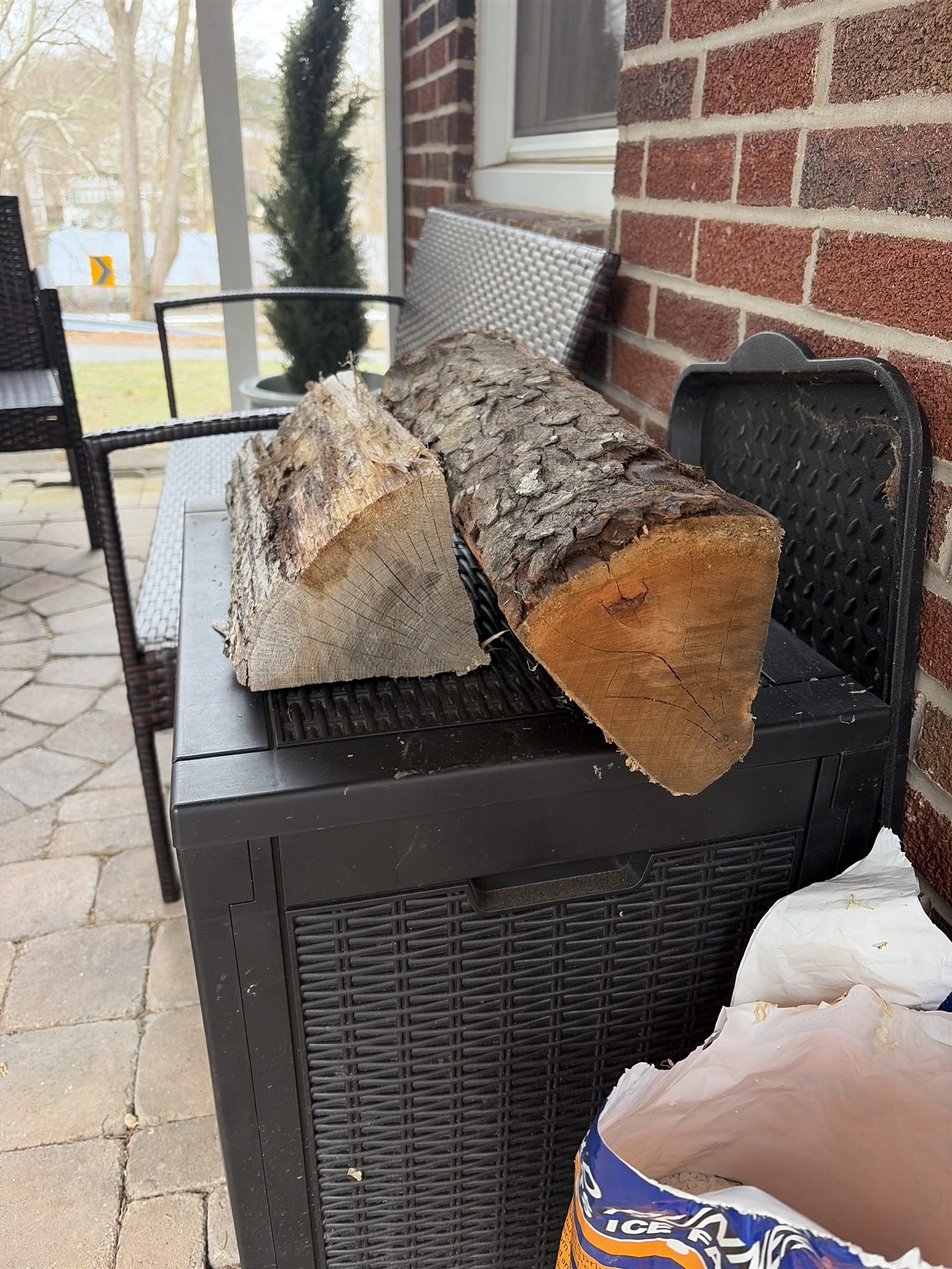 Where it began: the firewood from the Virginia campsite